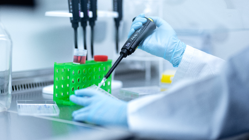 Bild zum Artikel Life Science Job Norddeutschland